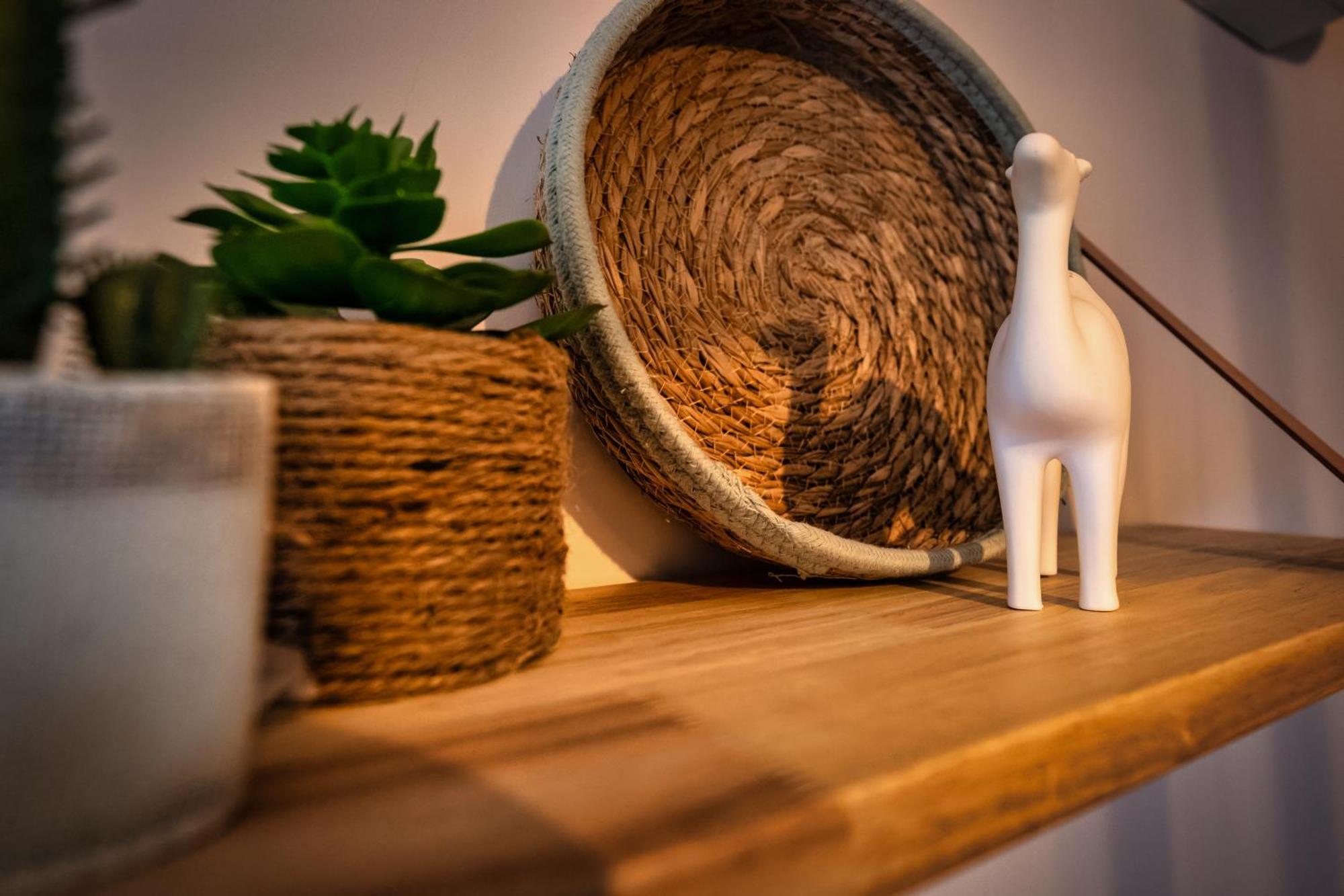 Magic Surf House Apartman Lacanau Kültér fotó